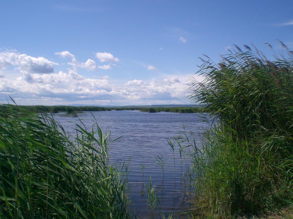 Ferienwohnungen Feldsee イルミッツ エクステリア 写真