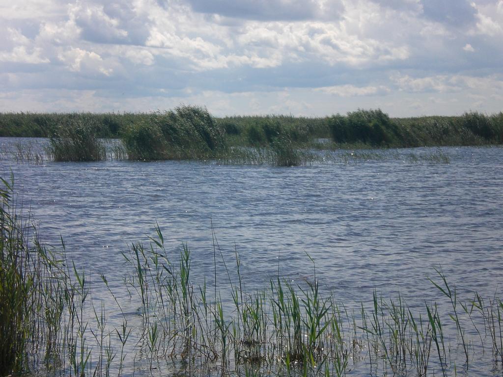 Ferienwohnungen Feldsee イルミッツ エクステリア 写真