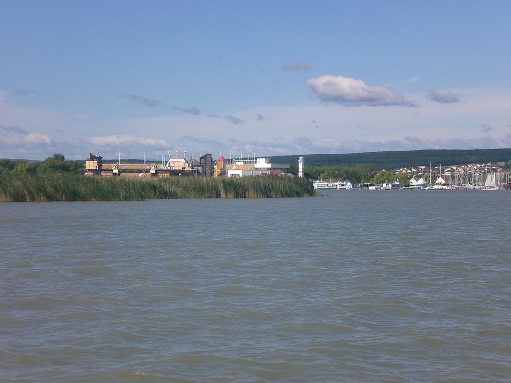 Ferienwohnungen Feldsee イルミッツ エクステリア 写真