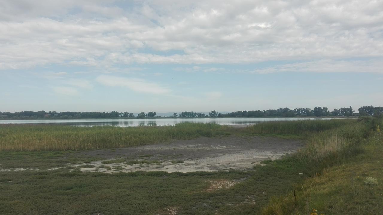 Ferienwohnungen Feldsee イルミッツ エクステリア 写真