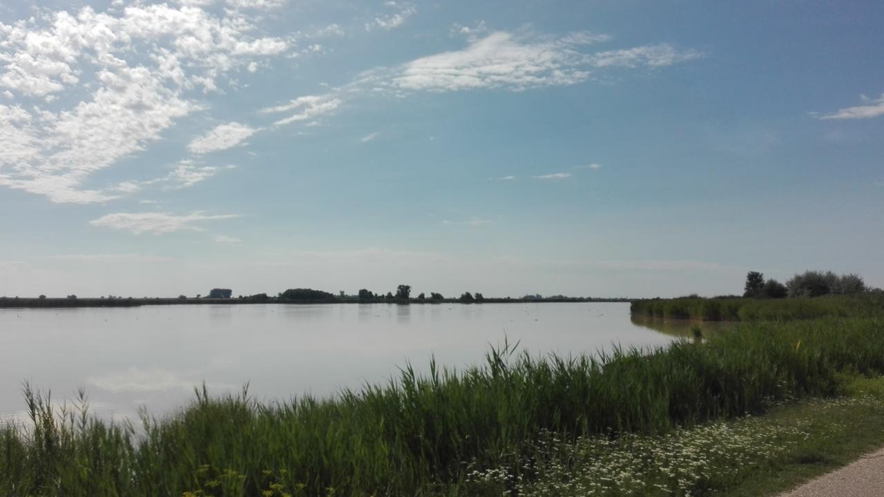 Ferienwohnungen Feldsee イルミッツ エクステリア 写真